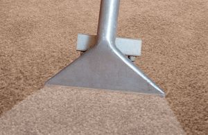 Best deep steam clean carpet cleaners