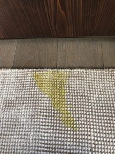 Deep Carpet Cleaning Pet vomit removal