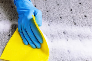 hand cleaning rugs and carpets for a deep clean