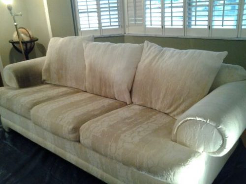 Tampa Carpet & Upholstery Cleaning Before