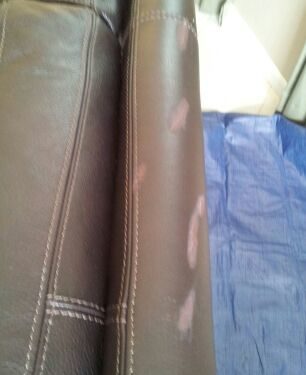 Tampa Carpet & Upholstery Cleaning Leather Couch Before