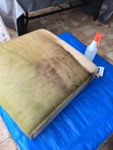 upholstery cleaning Tampa