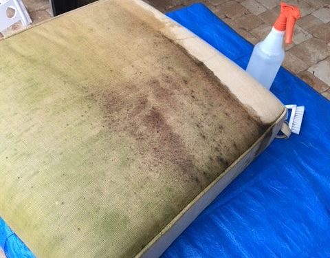 upholstery cleaning Tampa