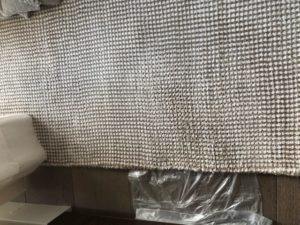 tampa deep carpet cleaning pet stain removal
