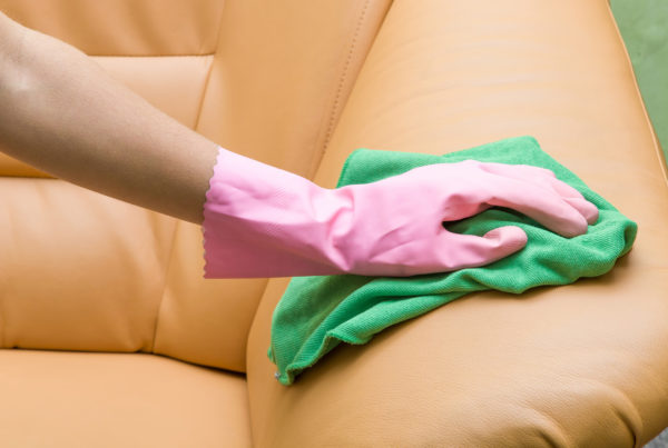 Best upholstery and leather cleaning service Tampa Bay