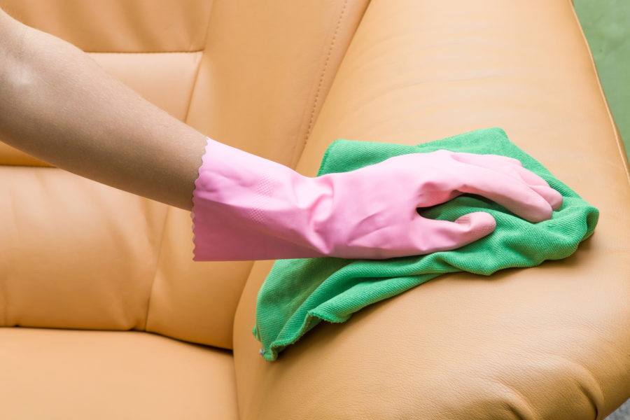 Best upholstery and leather cleaning service Tampa Bay