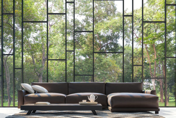 Tampa upholstery cleaners