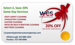 Tampa Carpet Upholstery Cleaning Discounts
