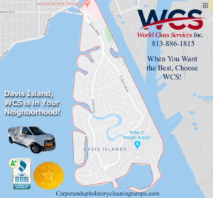 Carpet Cleaners Davis Island FL