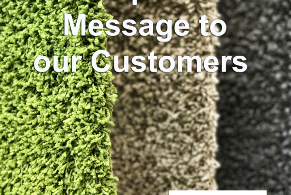 Tampa Carpet Cleaners