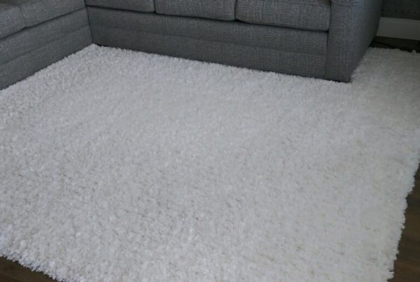 tampa carpet and rug cleaners