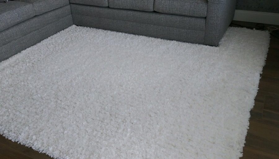 tampa carpet and rug cleaners