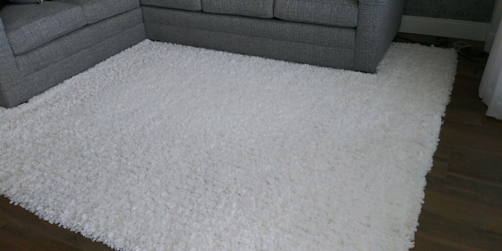 Professional Carpet Cleaners Vs Basic, Rugs Of The World Tampa Bay Fl