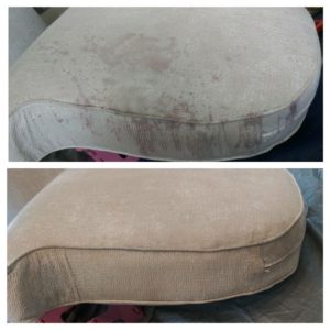 Tampa upholstery cleaners