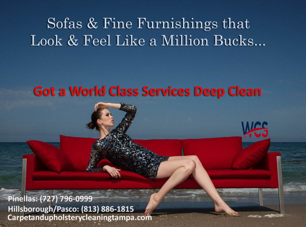 Tampa, South Tampa sofa and upholstery cleaners