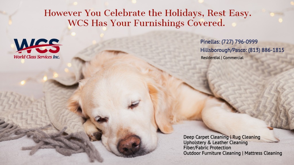Before or After the Holidays, Get a WCS Deep Carpet or Upholstery Cleaning