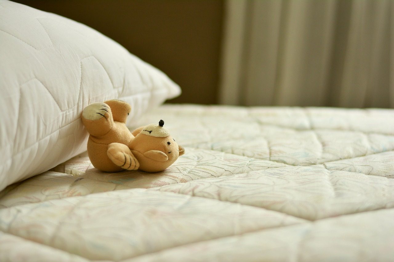 mattress cleaners tampa bay