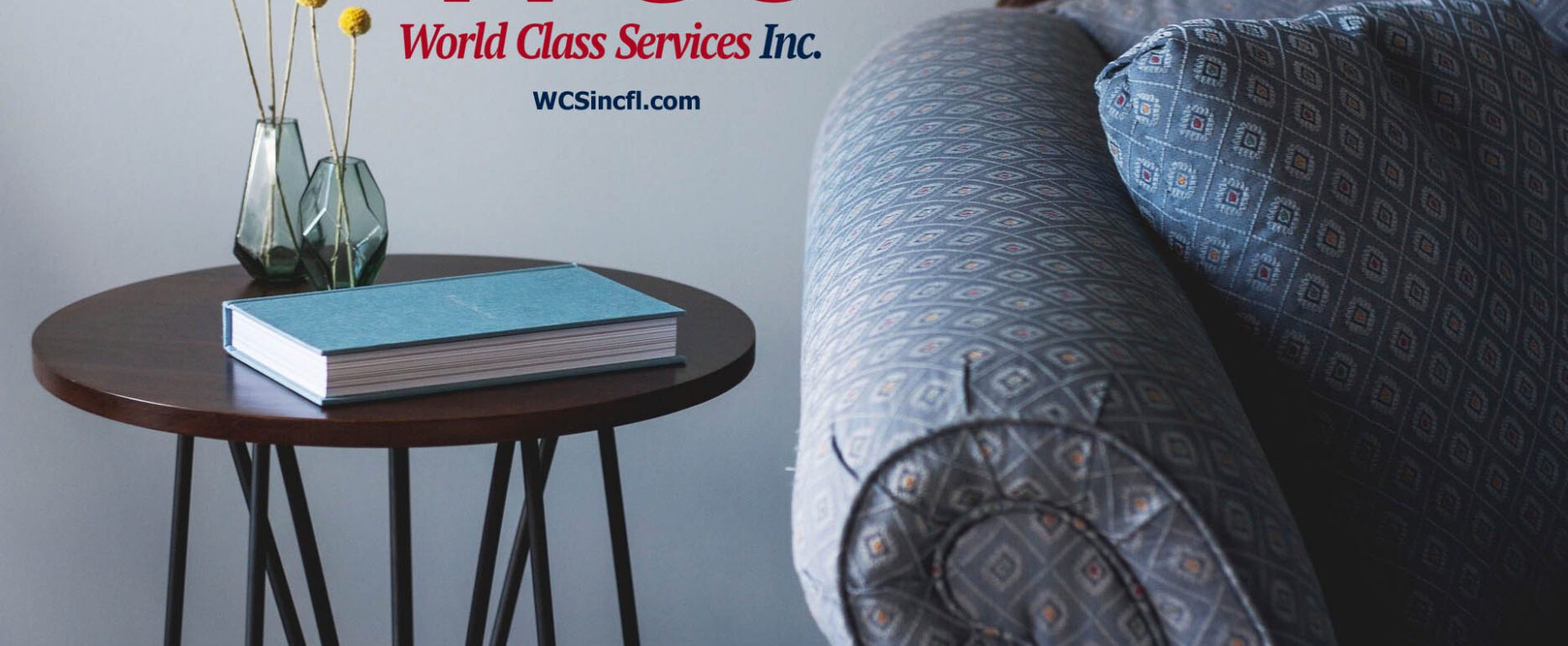 Upholstery cleaners near Tampa, South Tampa, St Pete, Clearwater