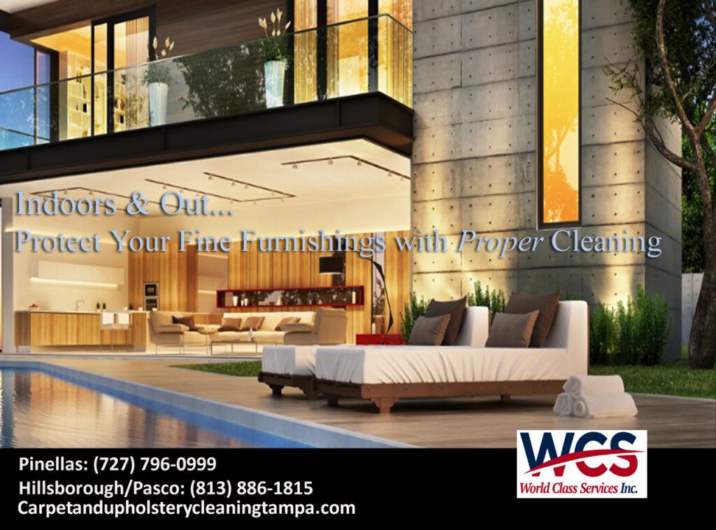 Carpet Cleaning near me, Tampa, Westchase, St Pete, Clearwater, Wesley Chapel