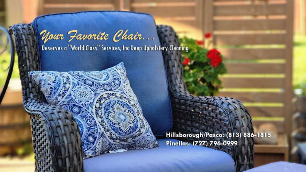 Top rated upholstery cleaners near Tampa FL, upholstery cleaning near me, Tampa, South Tampa, Brandon, St Pete, Clearwater, Wesley Chapel, Lutz, Carrollwood