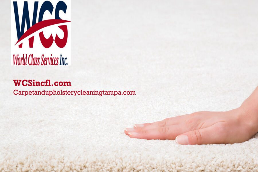 Best low moisture deep carpet cleaning nearTampa