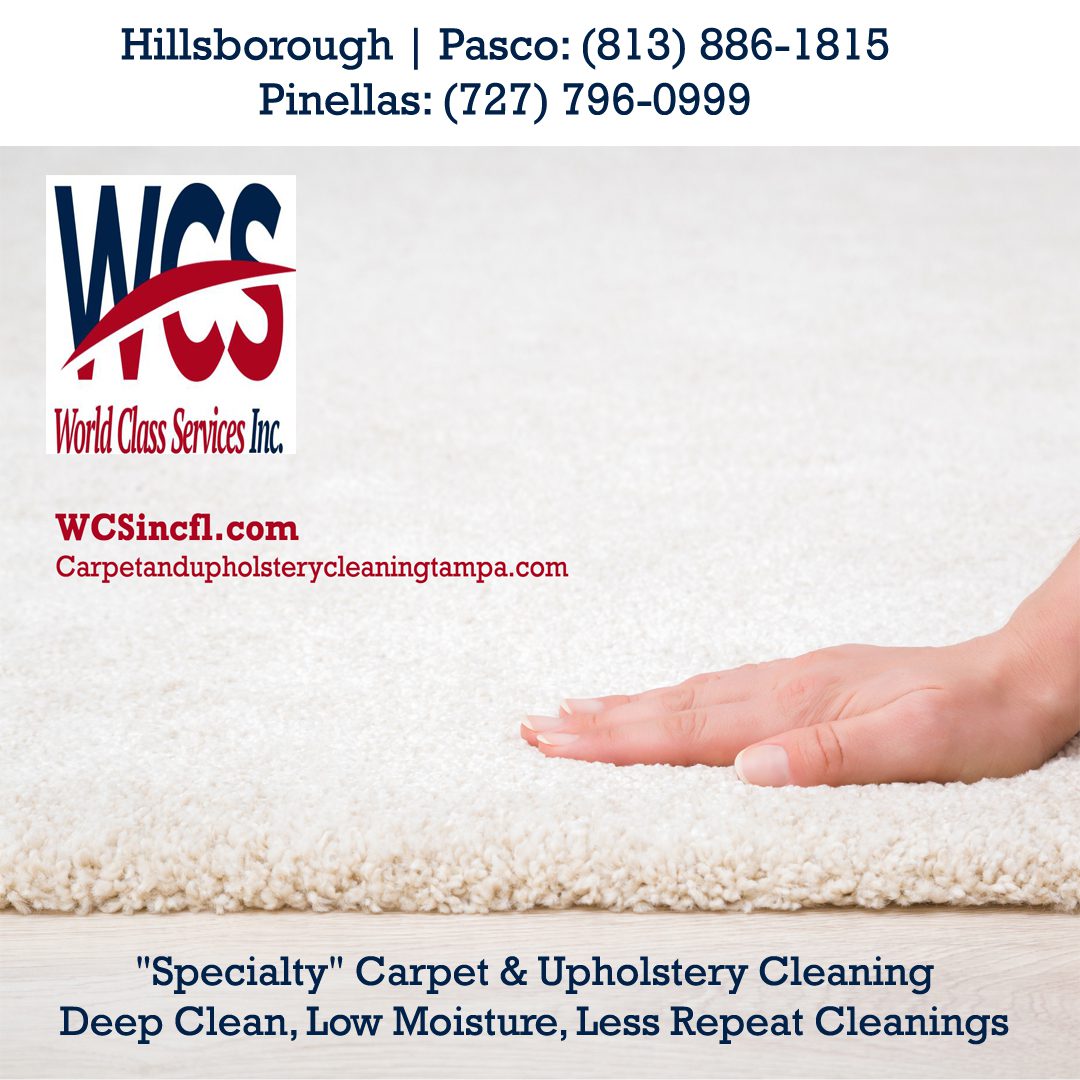 Best low moisture deep carpet cleaning nearTampa