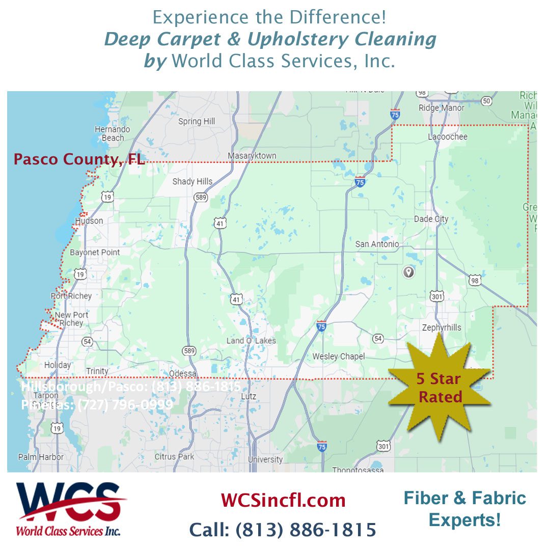 Pasco County, Florida Carpet & Upholstery Cleaners Tampa