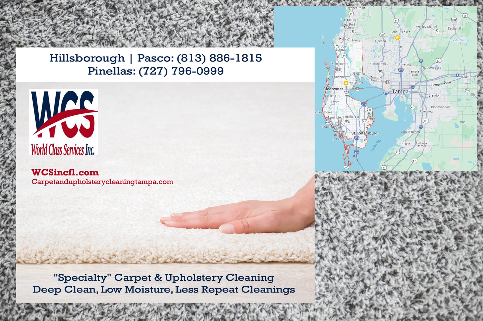 High End Carpet & Upholstery Cleaners Pinellas County, FL