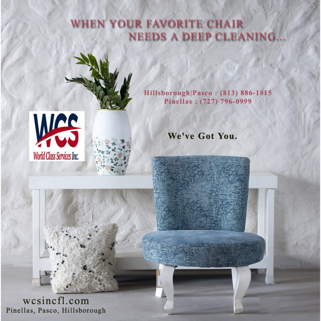 Upholstery cleaning Tampa, Upholstery cleaning near me