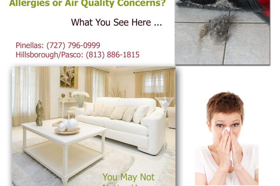 deep carpet cleaning, deep upholstery cleaning Tampa Bay