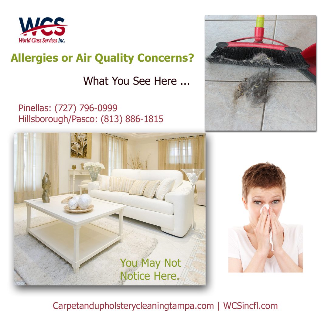 Deep Carpet & Furniture Cleaning & Air Quality