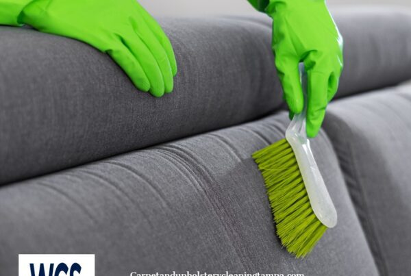 High end carpet, upholstery cleaners