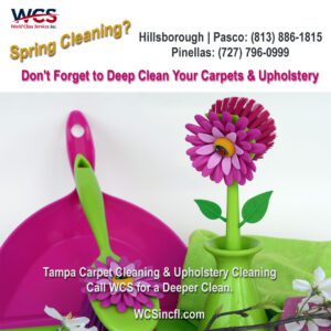 WCS Top rated carpet and upholstery cleaners Tampa Bay